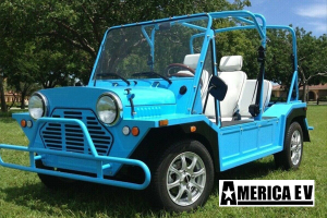 miami golf cart rental, golf cart rental, golf cart rental miami